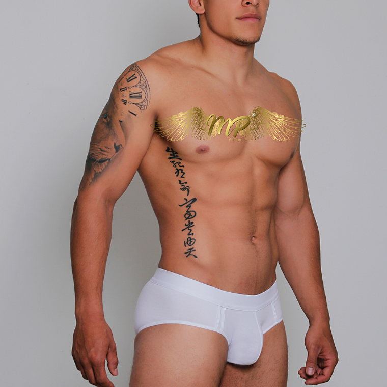 NUEVA COLECCIÓN BRIEF MP 1