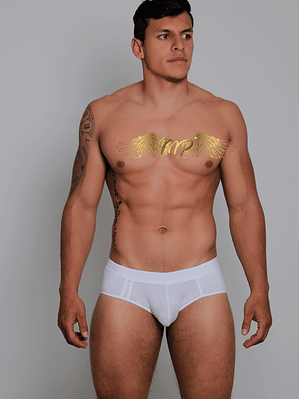 NUEVA COLECCIÓN BRIEF MP