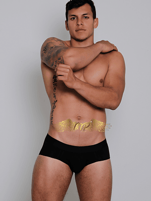 NUEVA COLECCIÓN BRIEF MP