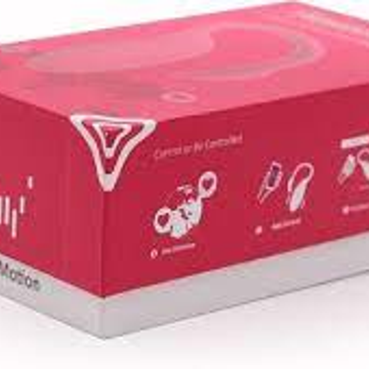 Vibrador remoto Flamingo Magic motion 4