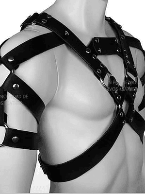 ARNES PEPIC EN CUERO SINTETICO