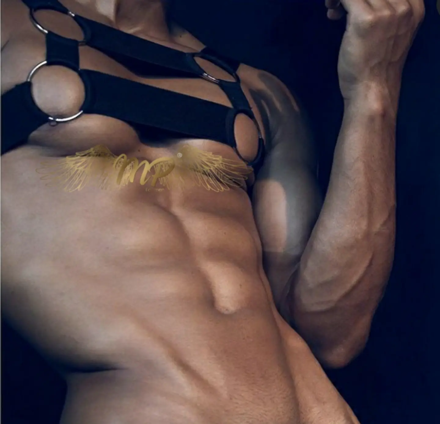 ARNES CUETRO ARGOLLAS  1
