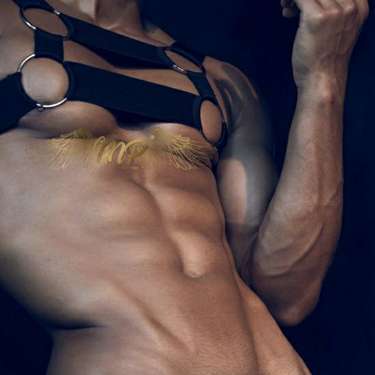 ARNES CUETRO ARGOLLAS  1