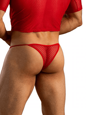 TANGA BRASILERA EN MALLA