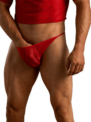 TANGA BRASILERA EN MALLA