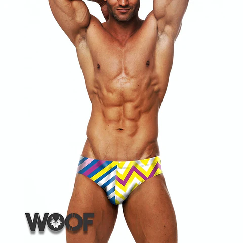 BAÑADOR NUEVA COLECCION WOOF