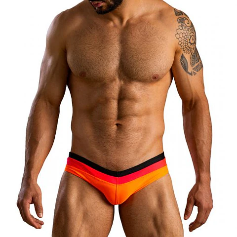  BAÑADOR BRIEF TRICOLOR