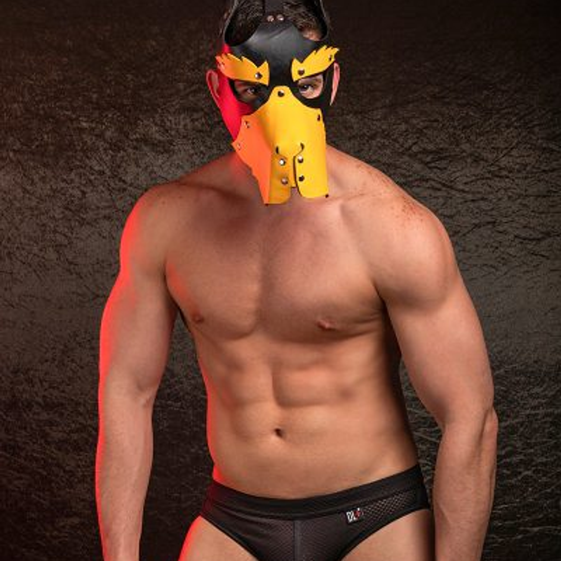 MASCARA DOG HIMEROS BLANCO 1