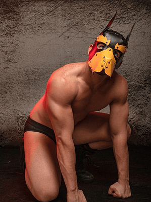 MASCARA DOG HIMEROS BLANCO