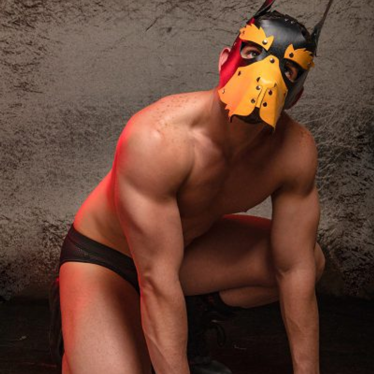 MASCARA DOG HIMEROS BLANCO 2