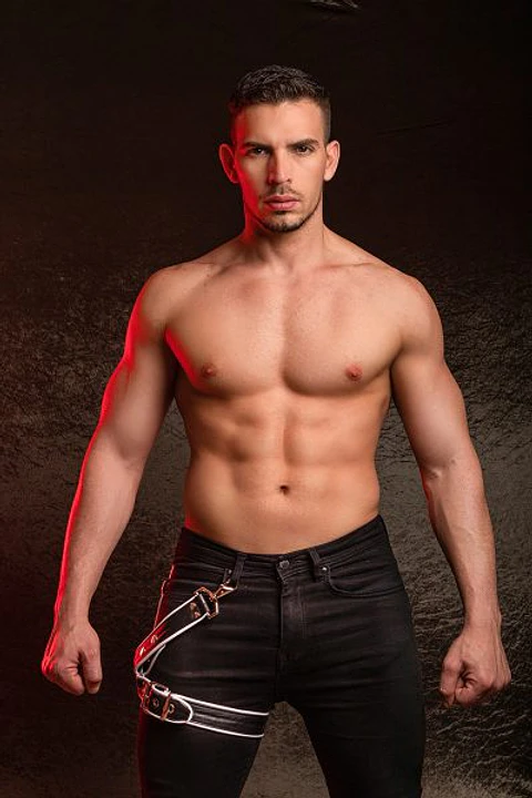 HORNY DUDE LEATHER LEG HARNESS MP