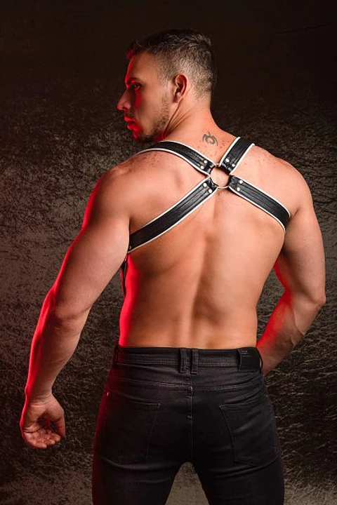 INDUSTRY HARNESS