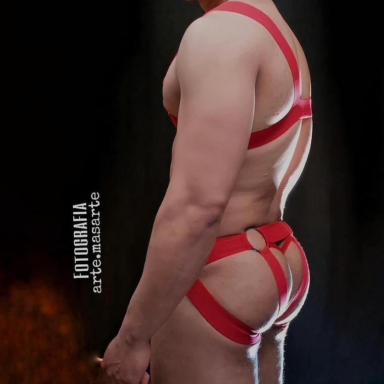 SUSPENSORIO CON HERRAJE Y ARNES DE PECHO 2