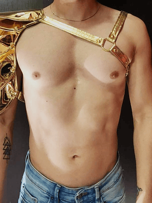 ARNES GLADIADOR DORADO #2543