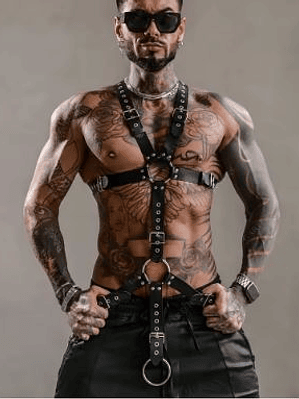  NUEVO  ARNES CON ANILLO RETARDANTE NEGRO