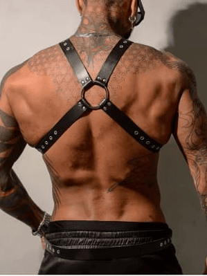  NUEVO  ARNES CON ANILLO RETARDANTE NEGRO