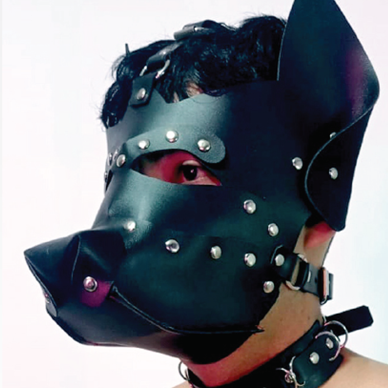 MASCARA PET NEGRO  CUERO SINTETICO 1