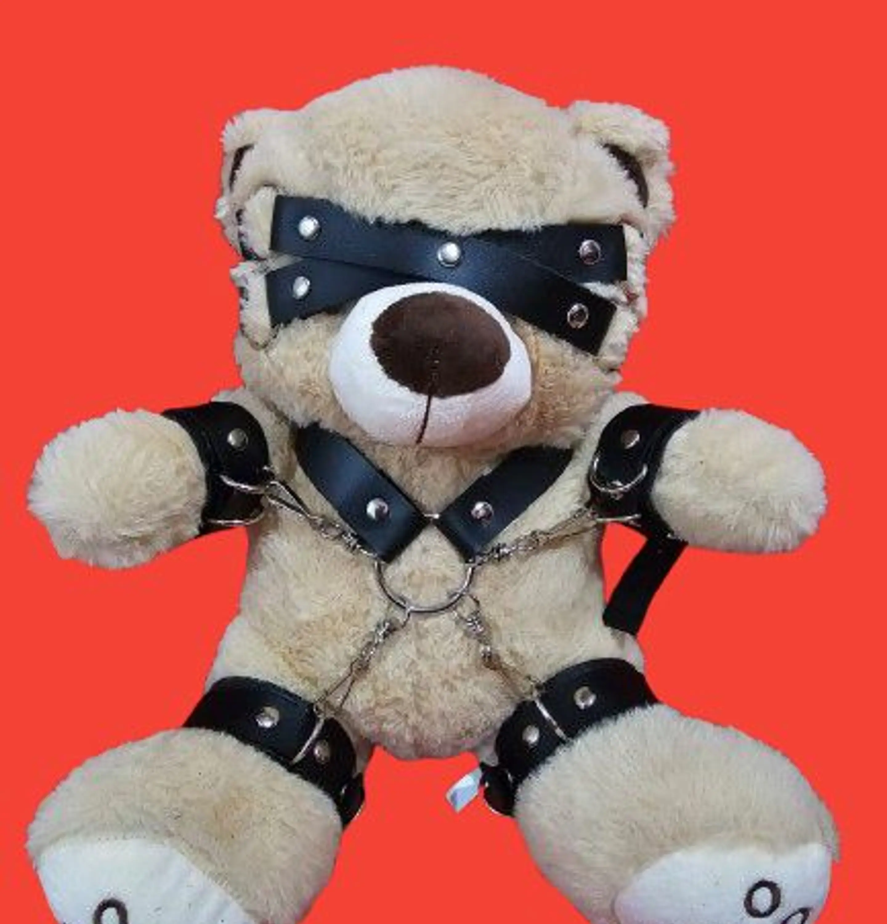OSO FETICHISTA BDSM 1