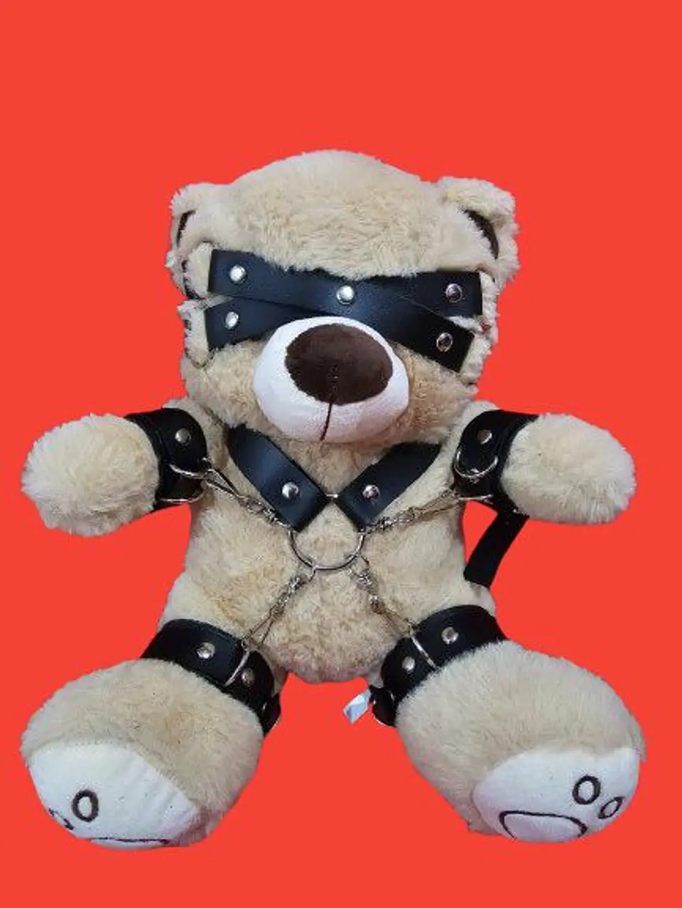 OSO FETICHISTA BDSM 1