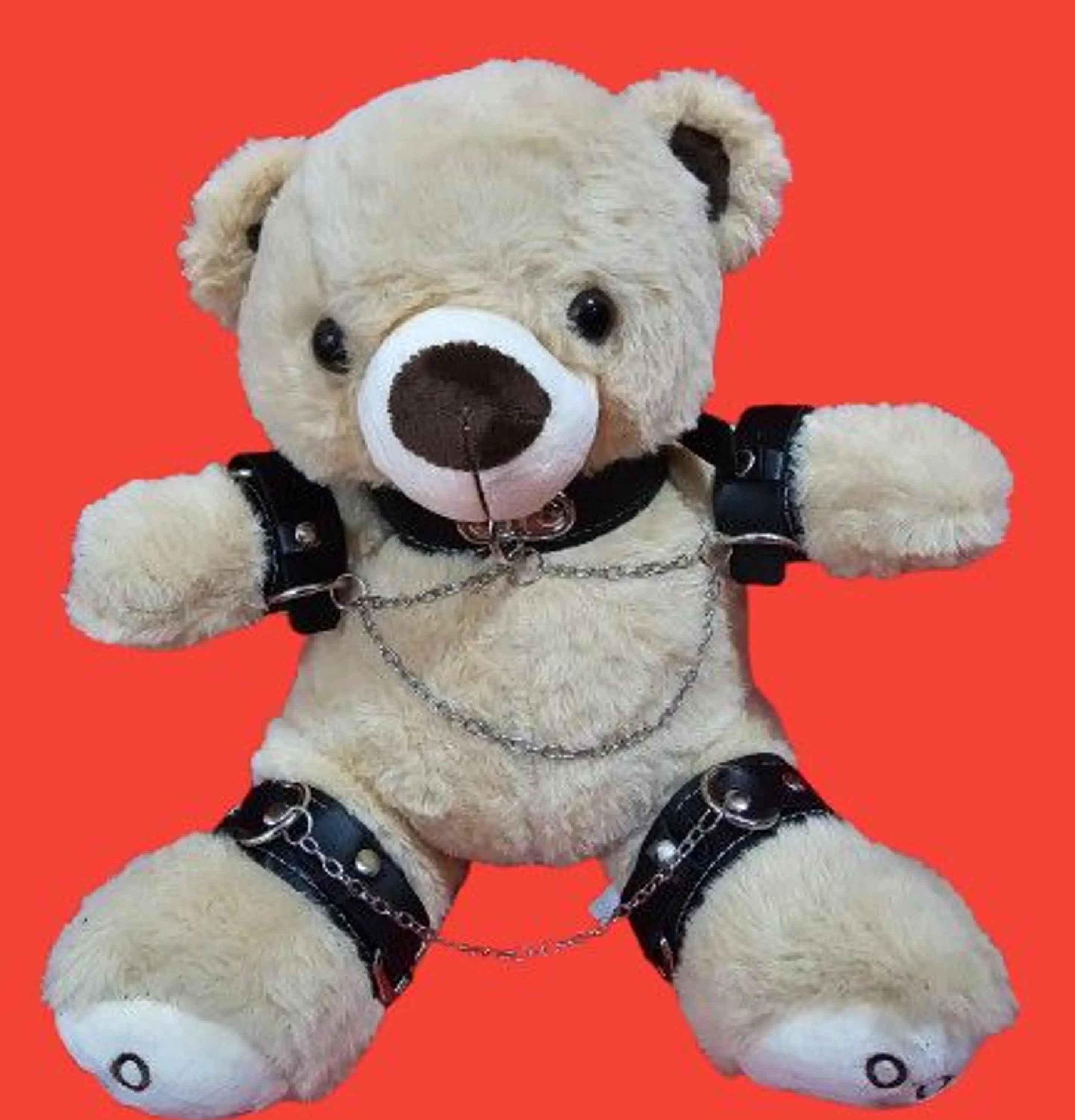 OSO FETICHISTA BDSM 2