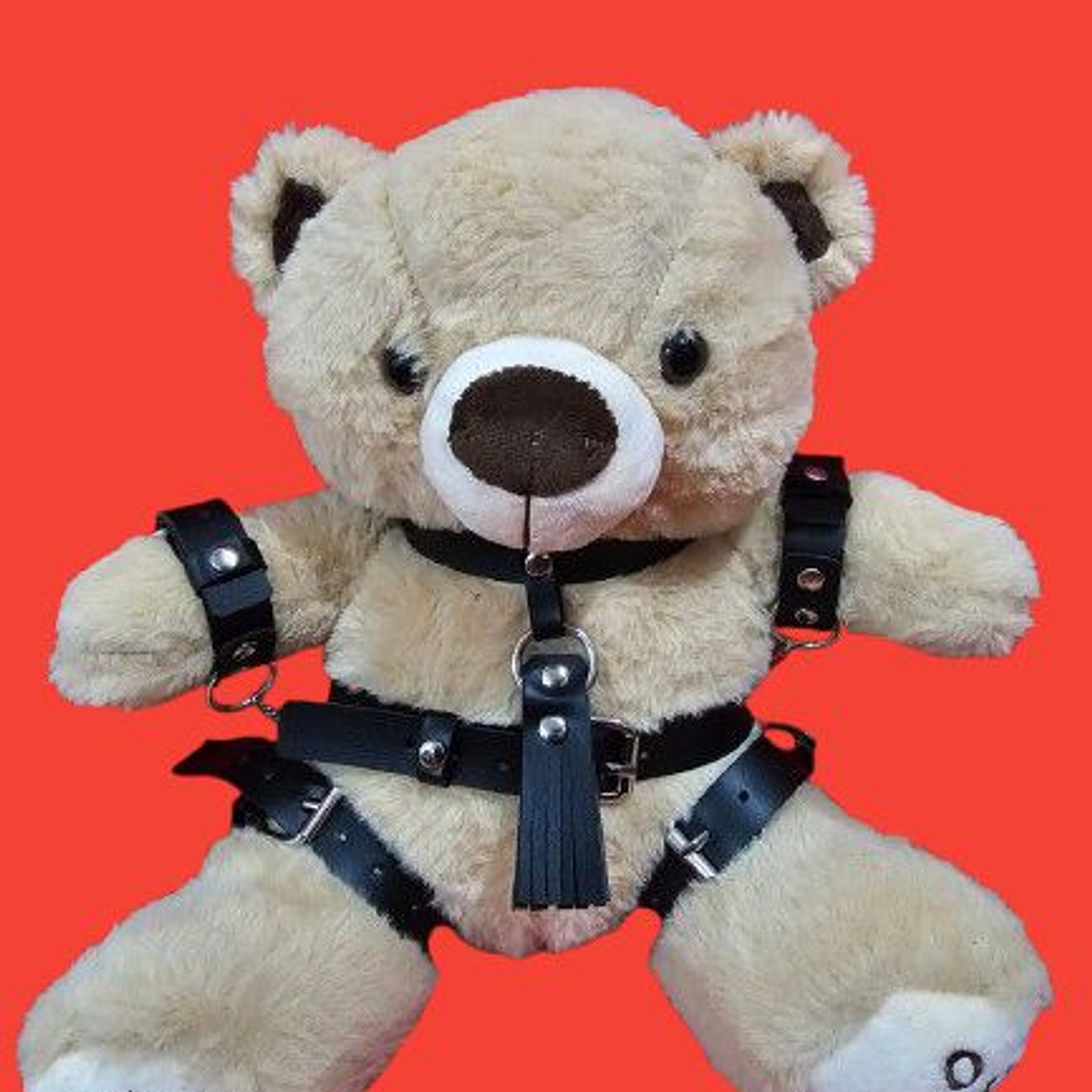 OSO FETICHISTA BDSM 4