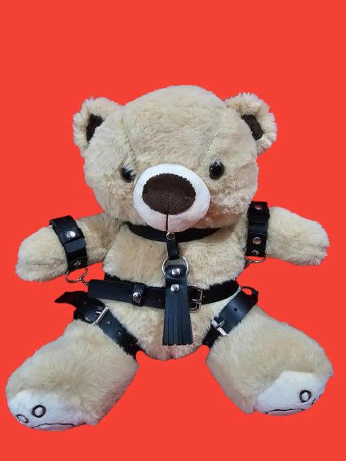 OSO FETICHISTA BDSM 4