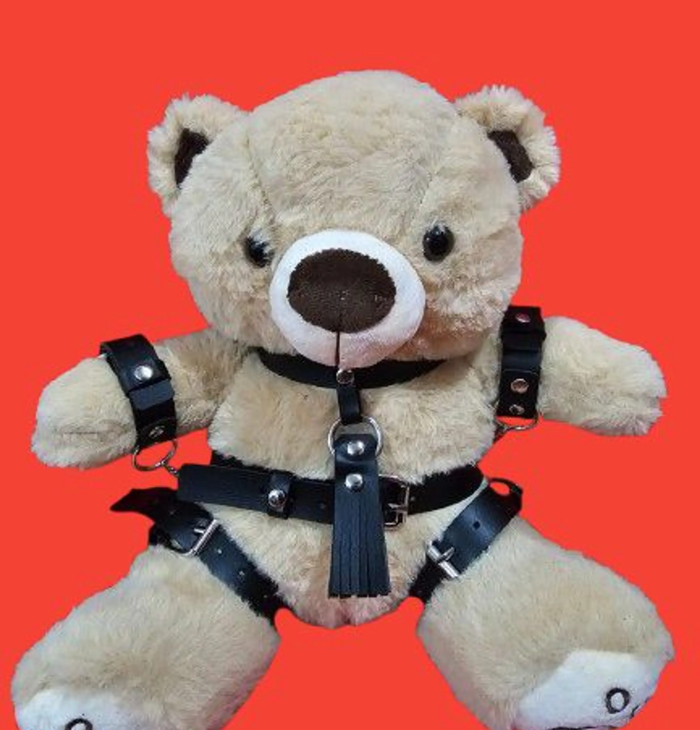 OSO FETICHISTA BDSM 4