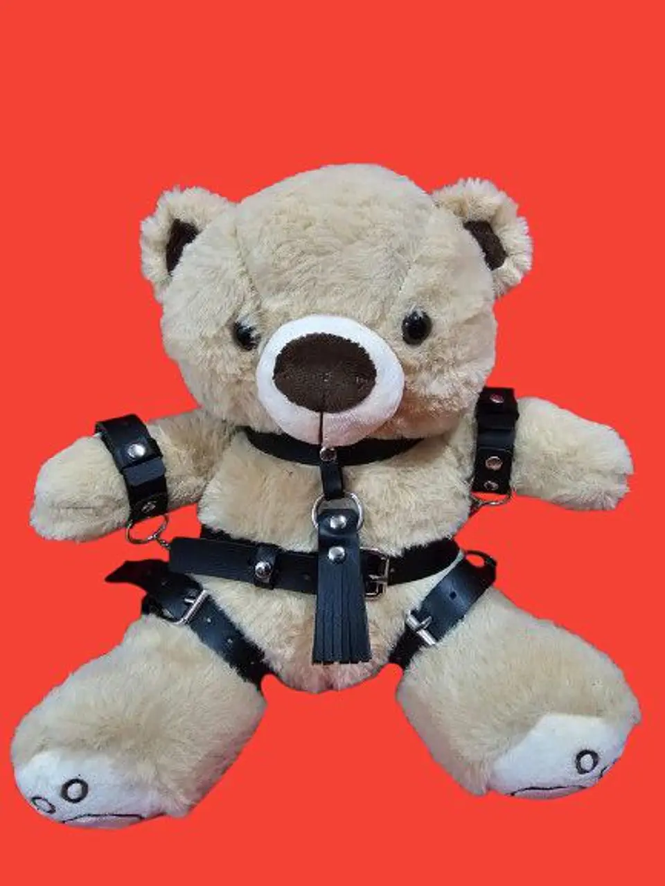 OSO FETICHISTA BDSM 4