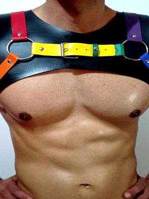 ARNES CUERO SINTETICO  LGBTI # 1