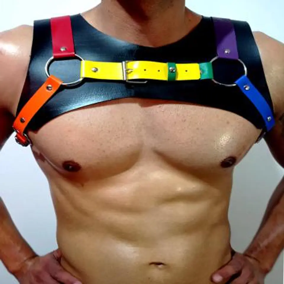 ARNES CUERO SINTETICO  LGBTI # 1 3