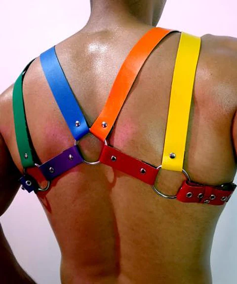 ARNES CUERO SINTETICO LGBTI #3