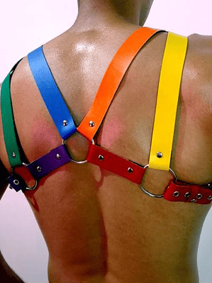 ARNES CUERO SINTETICO LGBTI #3