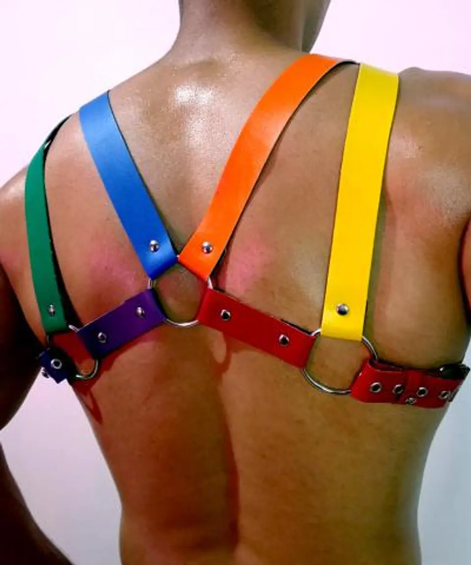 ARNES CUERO SINTETICO LGBTI #3 2