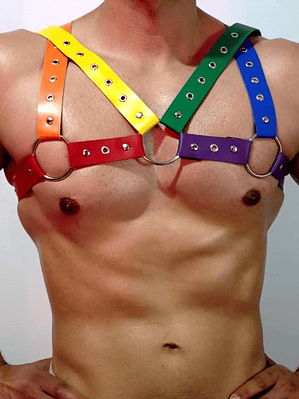 ARNES CUERO SINTETICO LGBTI #3