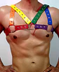ARNES CUERO SINTETICO LGBTI #3 - Miniatura 1