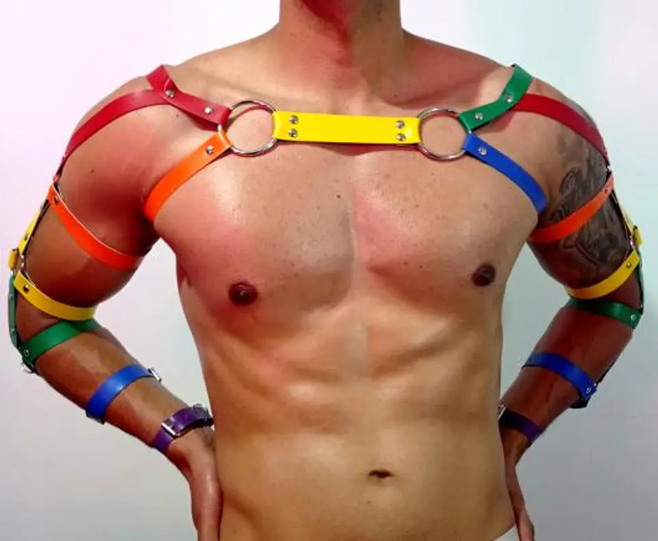 ARNES CUERO SINTETICO LGBTI #4 1