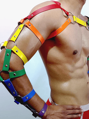 ARNES CUERO SINTETICO LGBTI #4