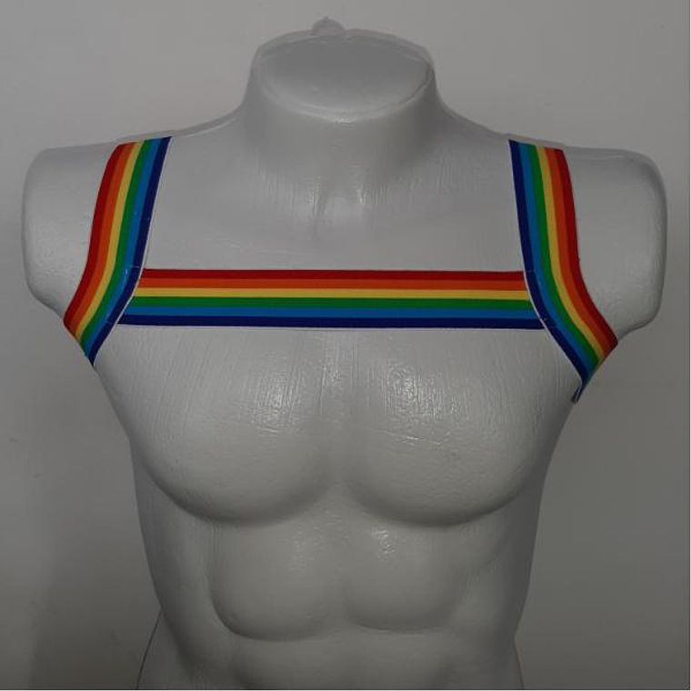 ARNES ELASTICO COLORS 1