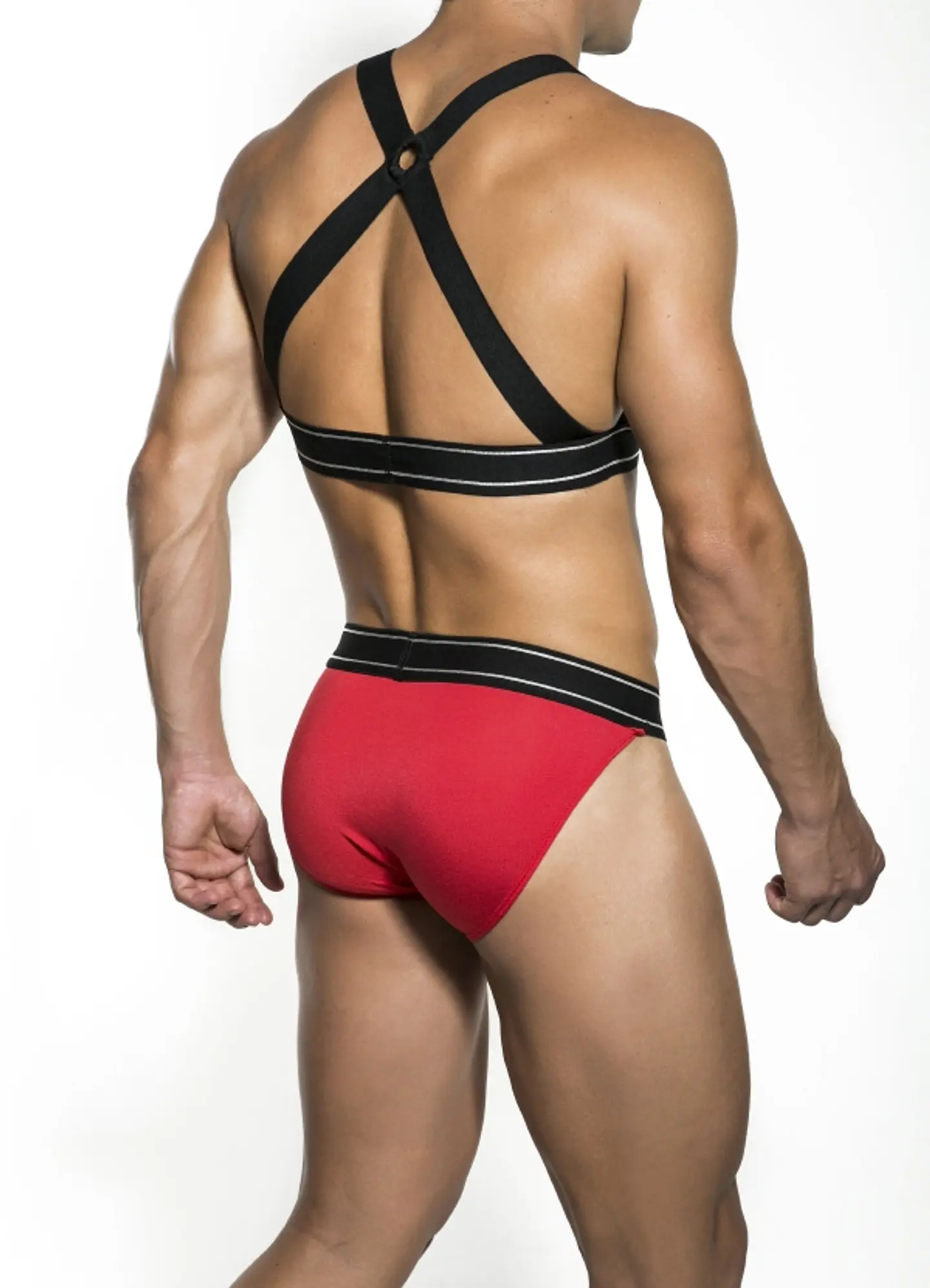 PARTY HARNESS 7