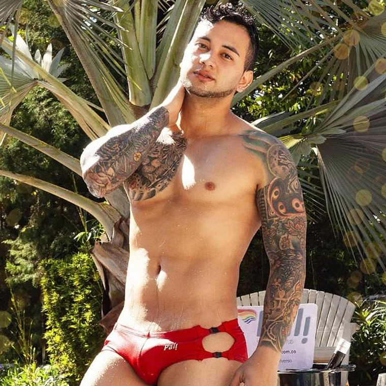 BRIEF CON HERRAJES 1