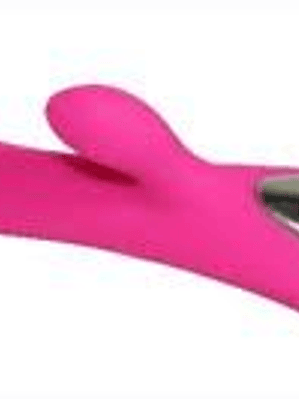 VIBRADOR YOUASEXY BESS X2 RECARGABLE