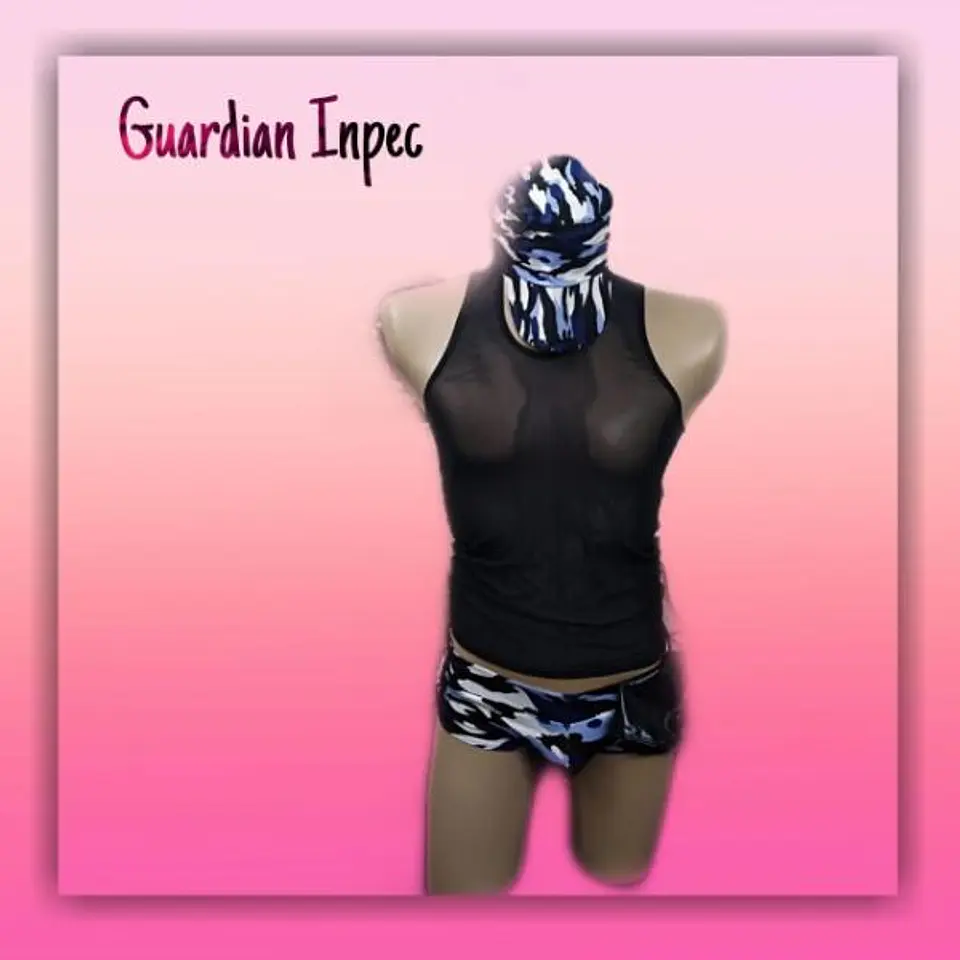 GUARDIAN INPEC MP 2