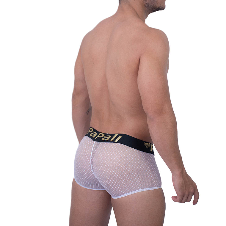 CACHETERO EN TRANSPARENCIA 3