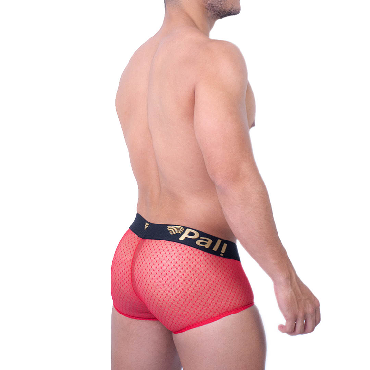 CACHETERO EN TRANSPARENCIA 5