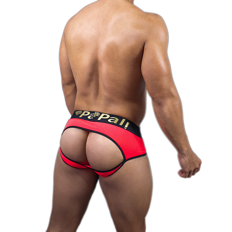 SUNGA CON ABERTURA TRASERA 2