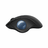 Mouse Trackball Inalámbrico Logitech Ergo M575S Negro
