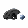 Mouse Trackball Inalámbrico Logitech Ergo M575S Negro
