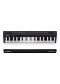 ROLAND GO-88P