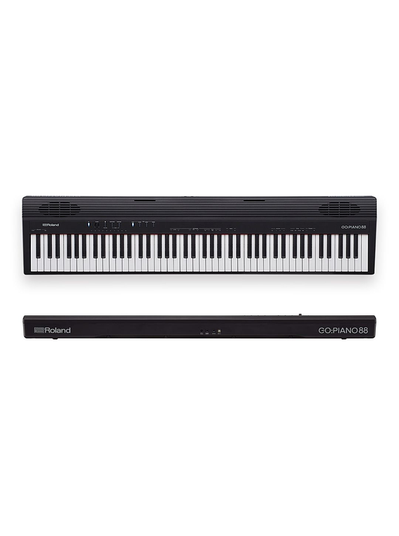 ROLAND GO-88P