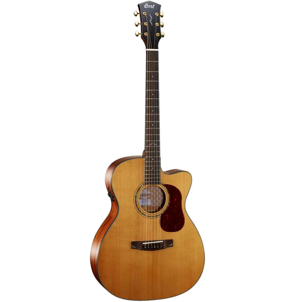 CORT GOLD OC6 NAT
